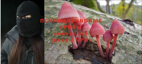 кристаллы Дмитриев