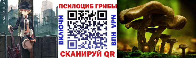 blacksprut   Октябрьск  Галлюциногенные грибы Magic Shrooms 